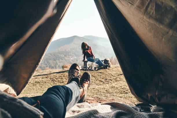 istock Woke up in the perfect place. 913746302
