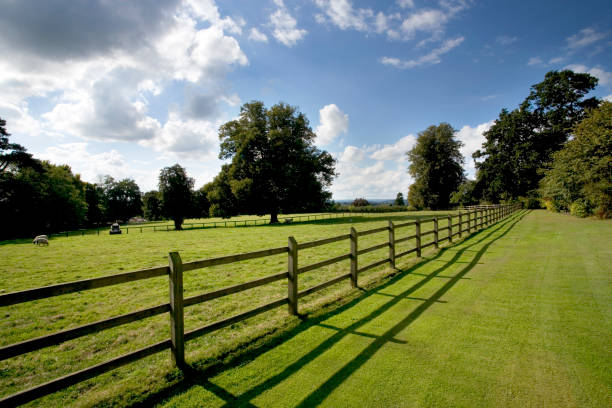 istock Post and rail fencing 913746332