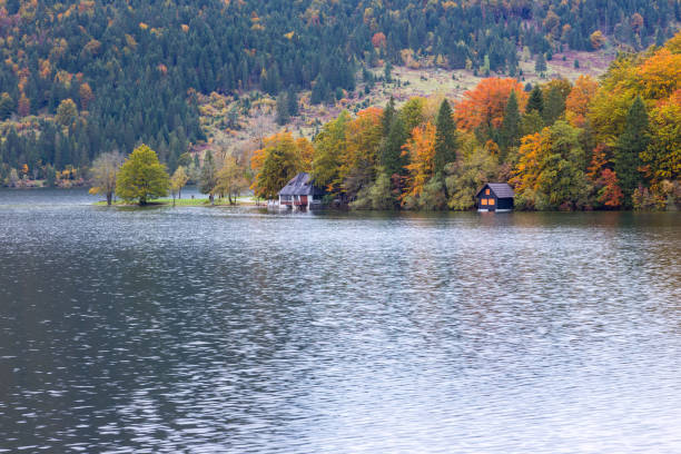 istock Beautiful autumn scenery at lake Bohinj. 913746484