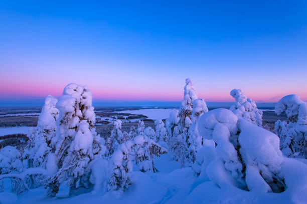 istock Pastel colors sky. Sotkamo, Finland. 913752892