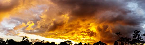 istock Panorama sky twilight golden cloudy and tree silhouette 913753720
