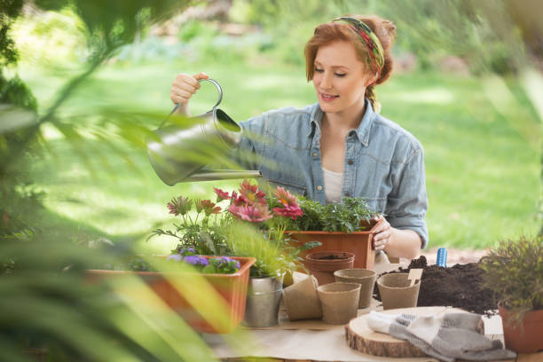 istock Woman watering plants in garden 913754000