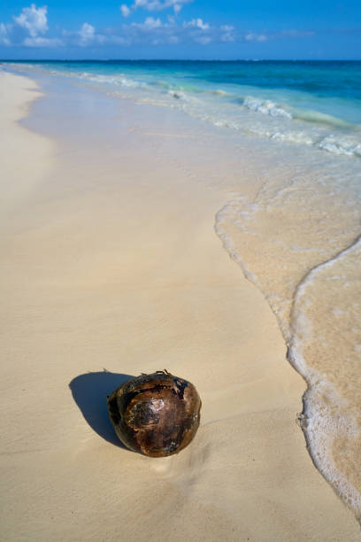 istock Riviera Maya Caribbean beach turquoise Mexico 913754020
