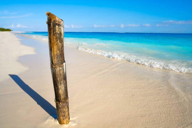 istock Riviera Maya Caribbean beach turquoise Mexico 913754232