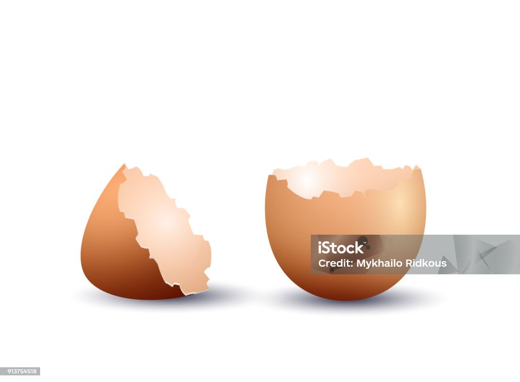 Realistic egg shell Realistic egg shell, isolated on white background. Vector illustration Eggshell stock vector