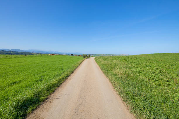 chemin de terre entre les champs verts en cantabrie - road long dirt footpath photos et images de collection