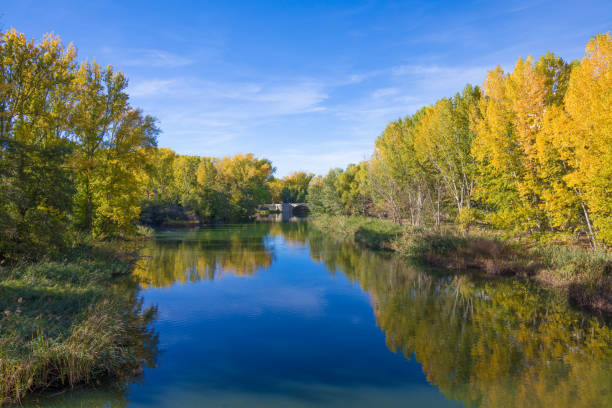 water river Carrion, with trees reflected in autumn, and Puentecillas bridge, from sixteenth century, in Palencia city, Castile Leon, Spain, Europe