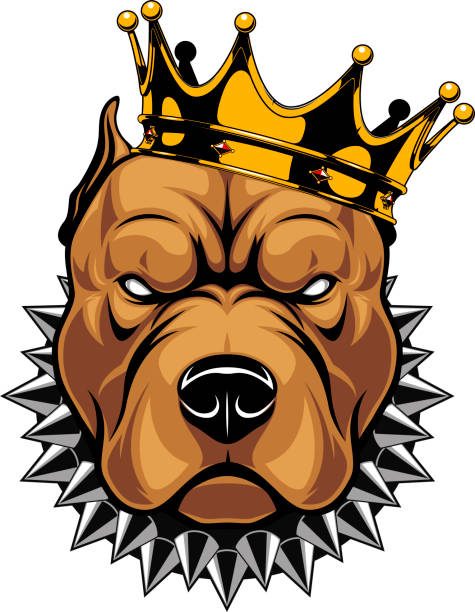 Head of a dog in the crown Vector illustration of a pit bull dog head in a golden crown, king, on a white background. pit bull terrier stock illustrations