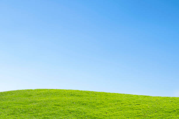 istock green field and blue sky background 913764882