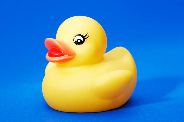 istock Yellow rubber duck on blue background 91376717