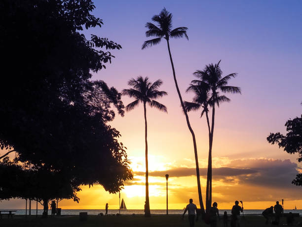istock Waikiki Beach Sunset 913770222