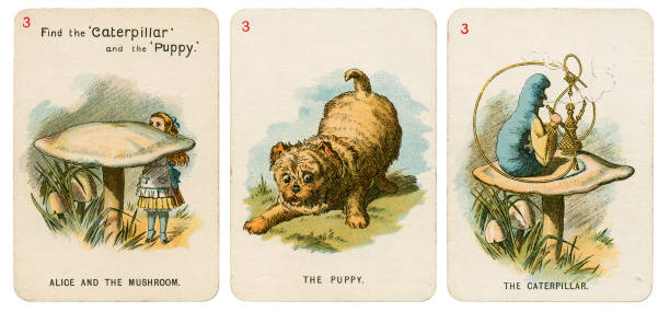 alice in wonderland playing cards 1898 set 3 - 1898 imagens e fotografias de stock