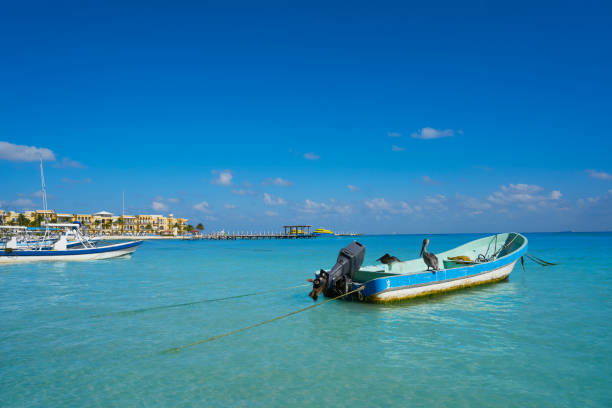 istock Playa del Carmen beach in Riviera Maya 913777474