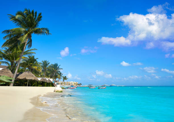 istock Playa del Carmen beach in Riviera Maya 913778340
