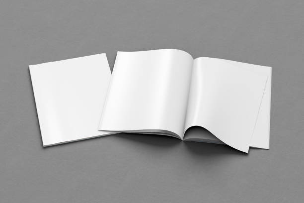 istock Blank magazine pages with bent glossy paper 913785772