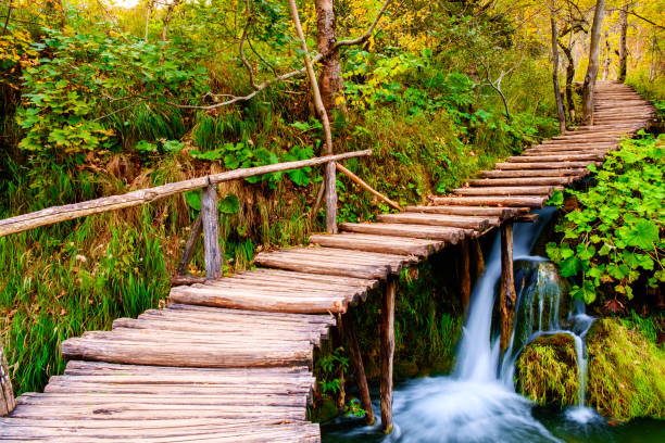 istock Boardwalk in the park Plitvice lakes 913786126