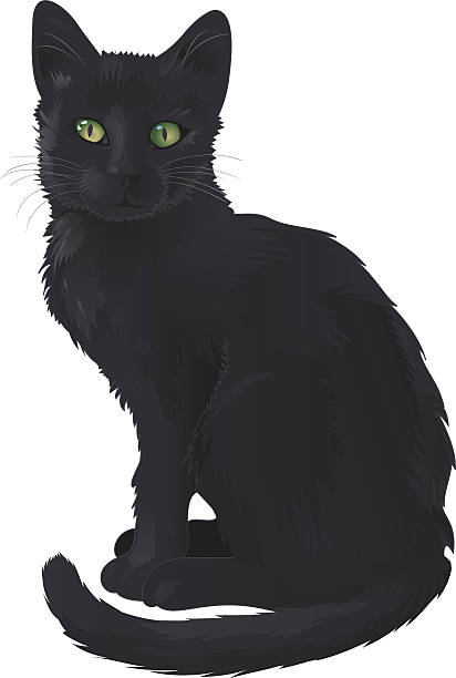ilustrações, clipart, desenhos animados e ícones de gato preto - 2498