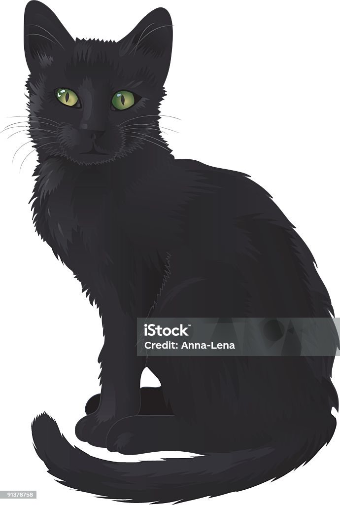 Black Cat  Domestic Cat stock vector