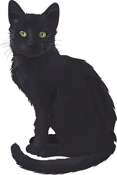 Vector illustration of Black Cat