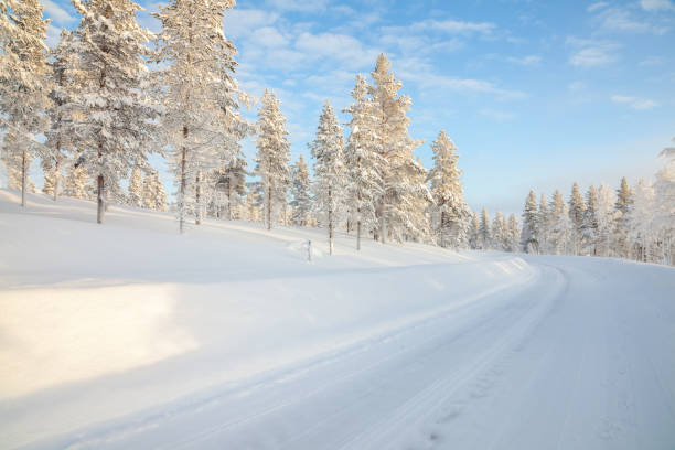 istock Scandinavian snowy winter road 913789302