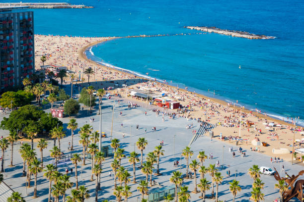 vista de ariel praia barceloneta - tree large group of people sand sunbathing - fotografias e filmes do acervo