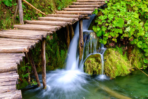 istock Boardwalk in the park Plitvice lakes 913794282