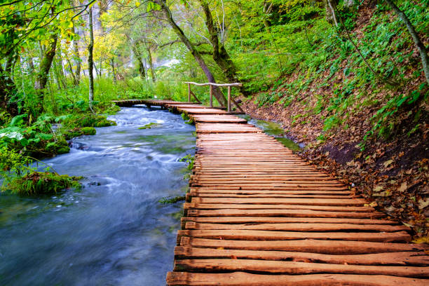 istock Boardwalk in the park Plitvice lakes 913797104