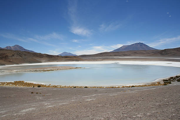 istock lagoon in bolivian plateau 91380014