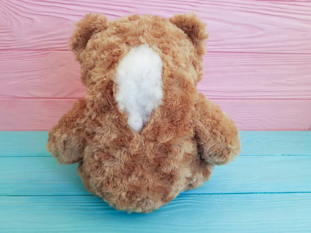 引き裂かれた悲しいクマのおもちゃバック - tear down ストックフォトと画像