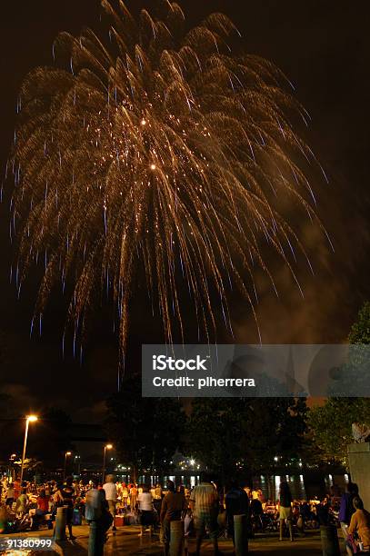 Fireworks Stock Photo - Download Image Now - Firework Display, Spectator, Celebration