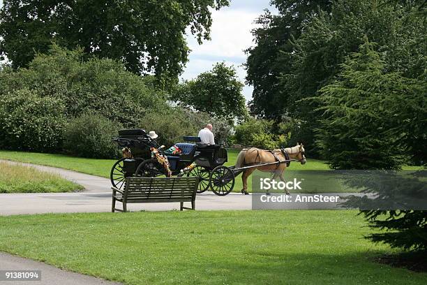 Horse And Carriage Ride Stock Photo - Download Image Now - Kew Gardens, Walking, Botany