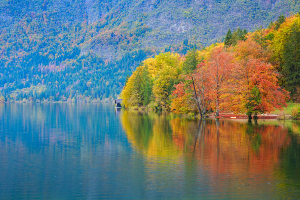 istock Beautiful autumn scenery at lake Bohinj. 913811566