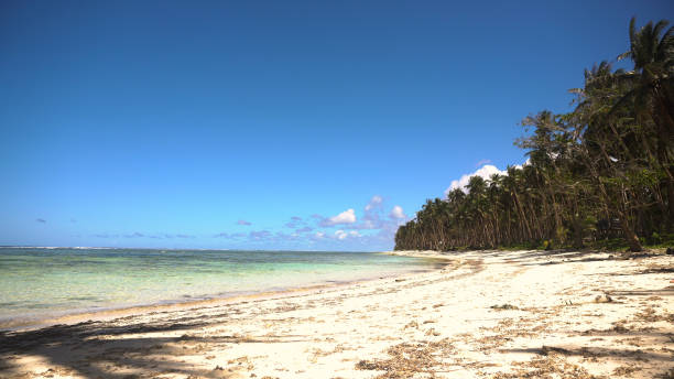 istock Beach on a tropical island. Philippines,Siargao 913811576
