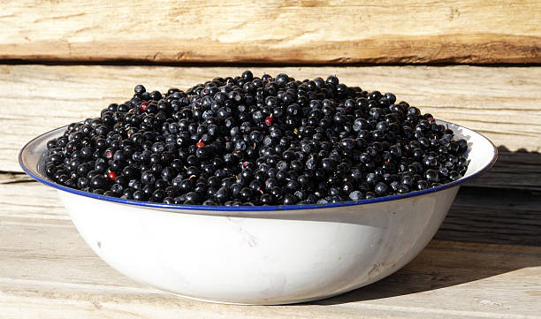 Les bleuets dans un bol - Photo