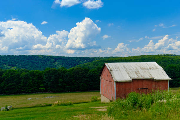 istock A red barn in the ohio countryside on a summer day 913816490