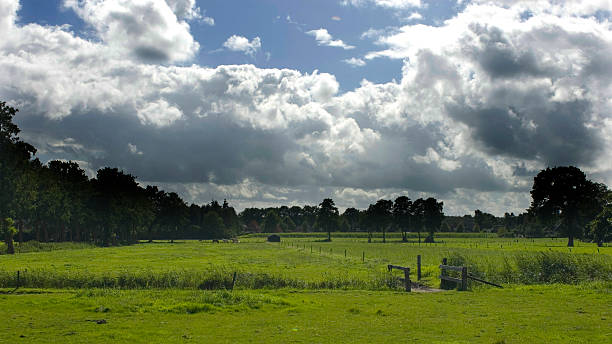 Dutch landscape stock photo