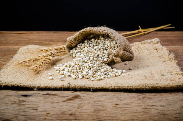 istock agriculture products,job's tears 913819152