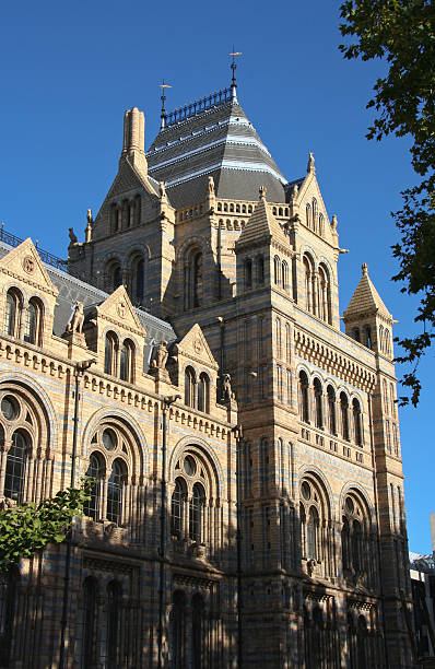 istock London Natural History Museum 91382120