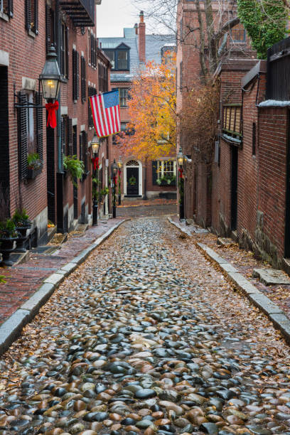 istock Acorn Street 913823262
