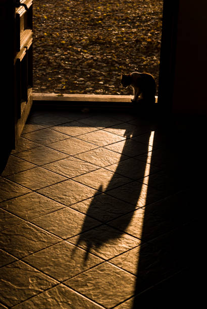 Backlit cat standing in a doorway during an autumn sunset and throwing a long, devil looking, shadow on the ceramic floor tiles.