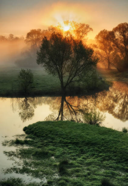 istock spring morning. dawn near a picturesque river 913824766