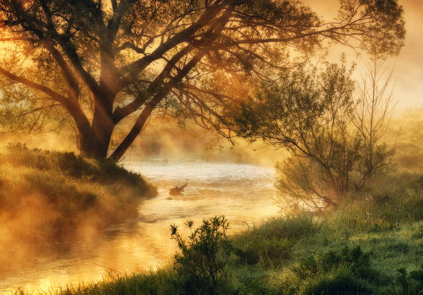 istock spring morning. dawn near a picturesque river 913825020