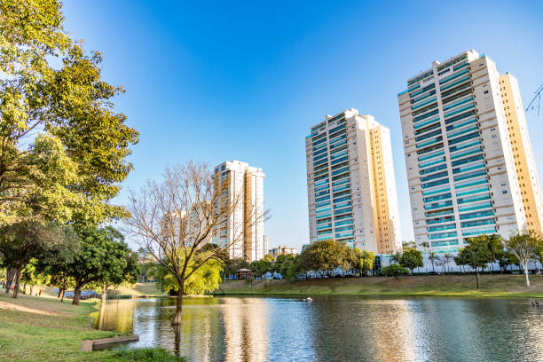 istock Ribeirao Preto building view from The Art's Park 913825564