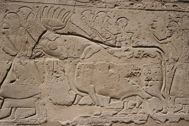 istock Egyptian bas-relief on the wall 91382745