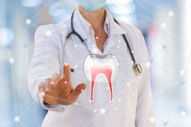 istock Doctor dentist showing tooth model . 913827722