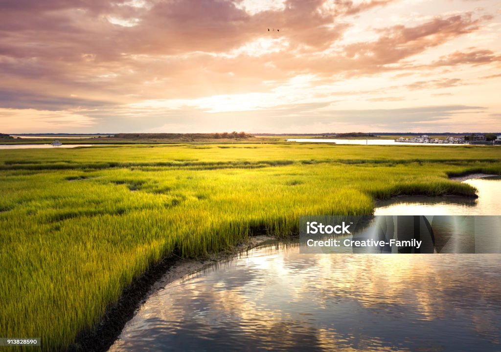 Aerial view of a swamp at sunrise Aerial view of a swamp scenery at sunrise New Jersey Stock Photo