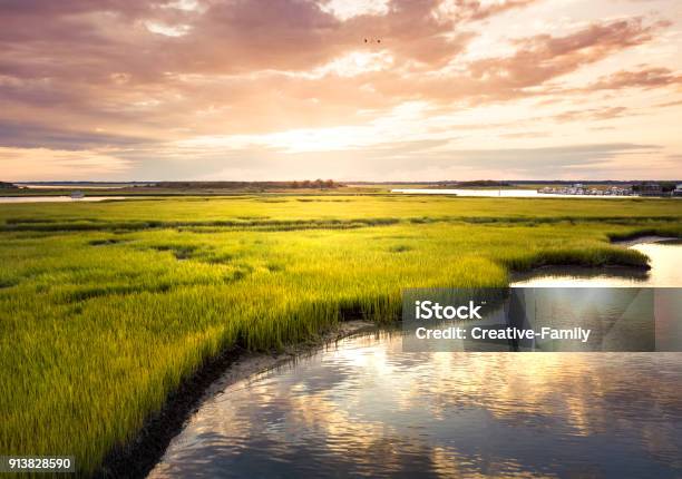 Aerial View Of A Swamp At Sunrise Stock Photo - Download Image Now - New Jersey, Swamp, Wetland