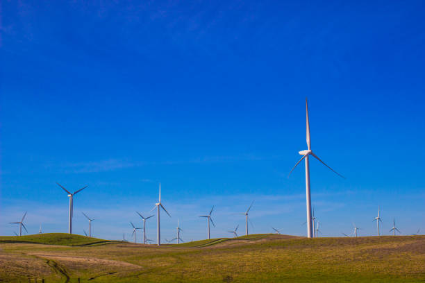 istock Field Of Energy Saving Windmills 913828678