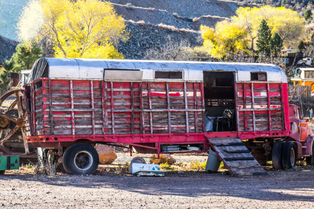 istock Vintage Trailer Carrier 913828720