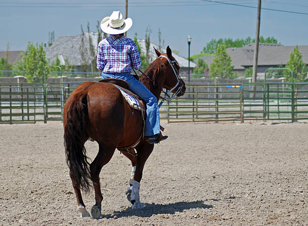 istock Western horse rider 91383536